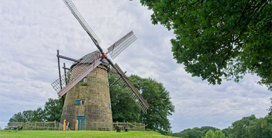 Immobilienmakler Uelsen